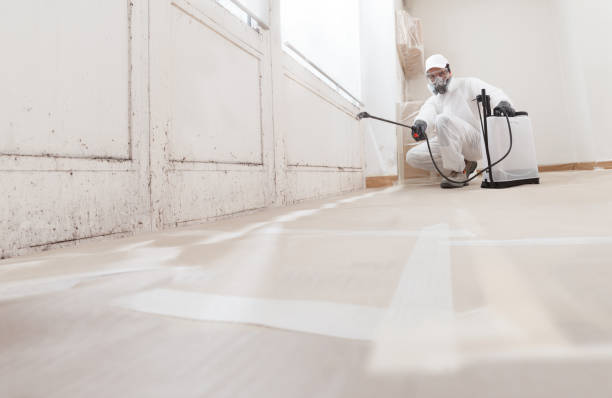 24/7 Emergency Crawl Space Mold Removal experts in Middlesex, NJ