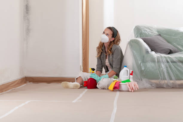 Reliable Crawl Space Mold Removal contractor in Middlesex, NJ by WQB Mold Removal