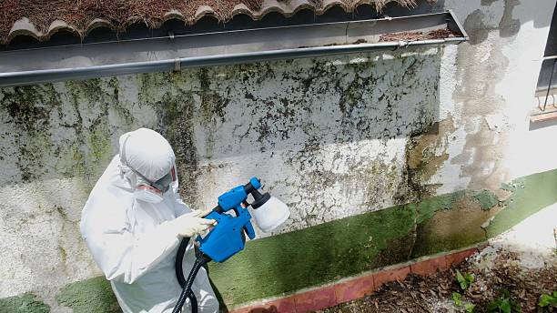 Top rated local Crawl Space Mold Removal specialists in Middlesex, NJ